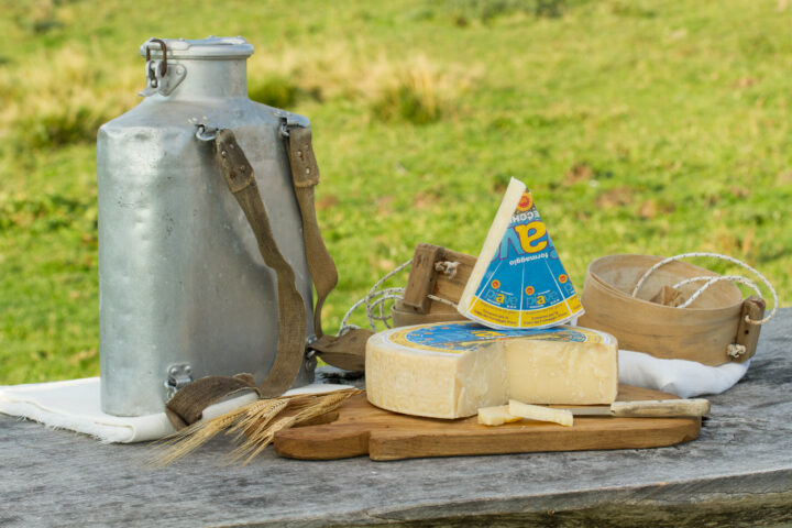 Il formaggio  PIAVE   DOP  espressione del territorio